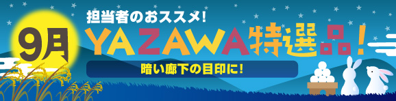 9月YAZAWA特選品 ― 暗い廊下の目印に！