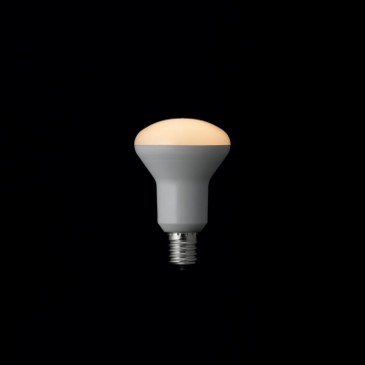 YAZAWA(ヤザワ) R50ミニレフ形LED電球 電球色 E17 非調光タイプ  LDR4LHE17