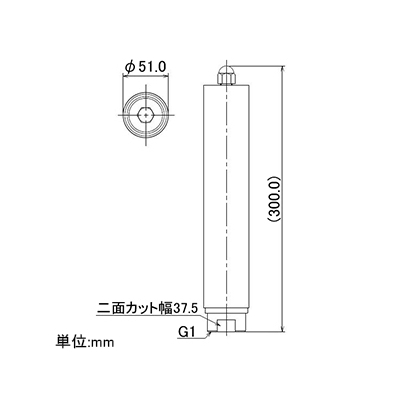 カクダイ アサガオノズル 施設用噴水 呼び25 流量66L/分 高さ0.21m  5385-25 画像3