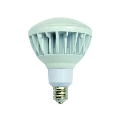 日動工業 高演色LED電球 ハイスペックエコビック40W バラストレス水銀灯300W相当 ワイドタイプ 昼白色 口金E39 L40V2-J110-50K
