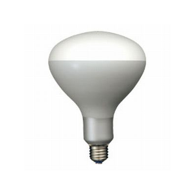 岩崎電気  PRF500W