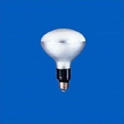 岩崎電気 写真用レフランプ昼光(デイライト)用500W  PRF500WD