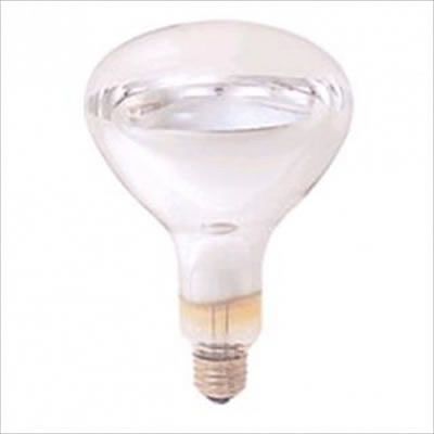 岩崎電気  IR220V250WRH