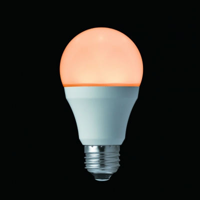 YAZAWA(ヤザワ) 【在庫限り】蓄光LED電球40W形相当 電球色  LDA5LGF 画像2
