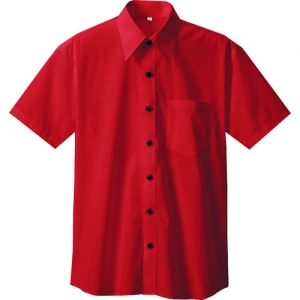 アイトス 半袖シャツ(男女兼用) レッド LL AZ10583369LL