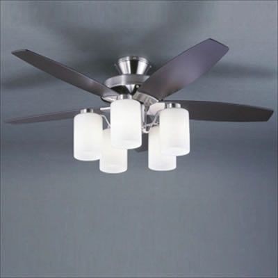 ラッキー シーリングファン ダークブラウン色 6 8畳向け 電球形蛍光灯60W形×5個 リモコン付属 LFARE-16018
