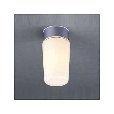 ラッキー 浴室灯 ガラス(乳白色) 防雨・防湿型 電球形蛍光灯(60W形 電球色) 壁スイッチ点灯 LBEK-11211