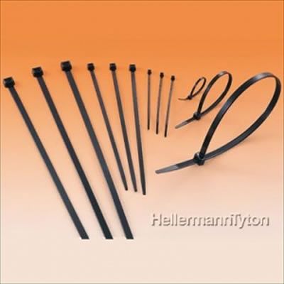 (N)ヘラマンタイトン T30L-HSW
