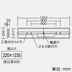 DAIKO 非常用LED長形ベースライト 40形 埋込形 幅220mm 6900lmクラス FHF32形高出力型×2灯相当 非調光 白色  LZE-93064XW+LZA-92824N 画像2