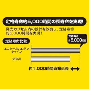 YAZAWA(ヤザワ) 【在庫限り】UVカット機能付 ハロゲン電球 《エコクールハロゲン》 12V 50W形 狭角 EZ10口金  JR12V30WUVNK5EZHA2A 画像3