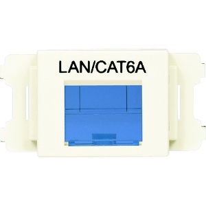 パンドウイット JISプレート用シャッター付きアダプタ オフホワイト LAN・CAT6A (10個入) CMASSP6AIW-X