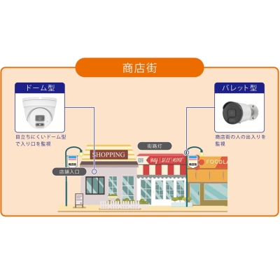 YAZAWA(ヤザワ) NC2.0MP防犯カメラSD機能付  NC51C2 画像5