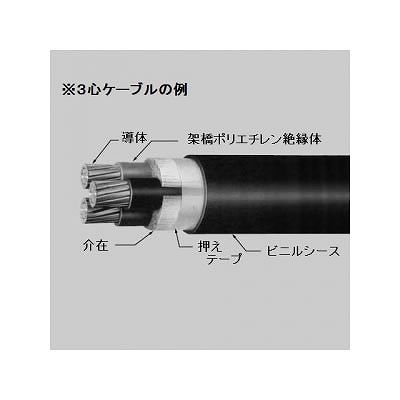 (N)住電日立ケーブル 【生産終了】600V架橋ポリエチレン絶縁ビニルシース電力ケーブル 5.5m 3心 50m巻 黒 CV5.5SQ×3C×50m