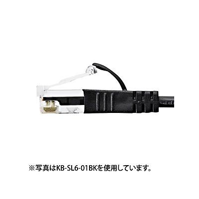 サンワサプライ カテゴリ6準拠極細LANケーブル(ブルー・15m)  KB-SL6-15BL 画像2