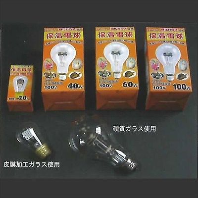アサヒ 016110-asahi-100SET