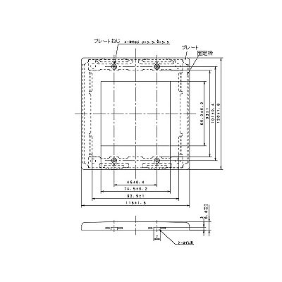 パナソニック 新金属コンセントプレート2型 2連接穴用  WTF9250 画像2