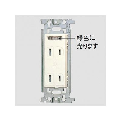 パナソニック フルカラー 埋込扉付ほたるダブルコンセント 取付枠付 15A 125V  WN13525 画像2