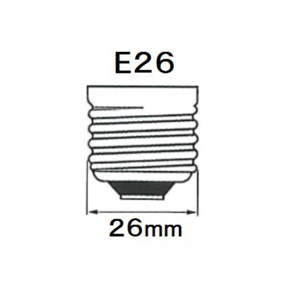 岩崎電気 写真照明用アイランプ スポット(集光形) 250W E26  PRS250W 画像2