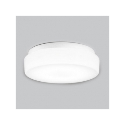 オーデリック LEDバスルームライト FCL30W相当 防雨・防湿型 壁面・天井面・傾斜面取付兼用 昼白色タイプ 白色  OW269011ND