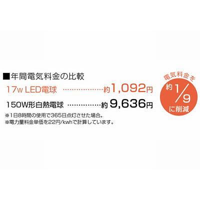 ハタヤ LED作業灯17W昼光色 ケーブル長0.3M  RGL-0 画像2