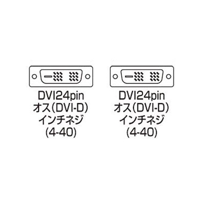 サンワサプライ DVIディスプレイ用ケーブル シングルリンクモード用 10m ブラック  KC-DVI-100G 画像2
