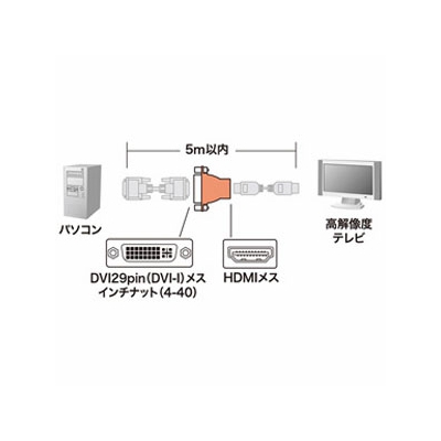 サンワサプライ HDMI変換アダプタ DVI29pin(DVI-I)メス-HDMIメス  AD-HD04 画像3