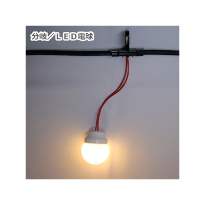 長谷川製作所 LED電球一体型提灯コード 防水仕様 屋外用 5灯 全長2.5m 防水プラグ・防水コネクタ付  CCLB025L05P05 画像5