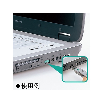 サンワサプライ USBコネクタ取付セキュリティ グリーン  SL-46-G 画像2