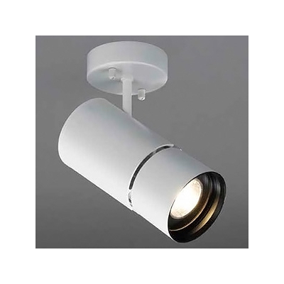 山田照明 LED一体型スポットライト フランジタイプ 調光対応 HID35W相当 昼白色 配光角度21° 天井・壁付兼用 SD-4434-N
