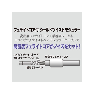 サンワサプライ コア付シールドツイストモジュラーケーブル 0.2m シルバー  TEL-FST-02N2 画像2