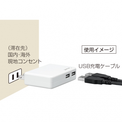 YAZAWA(ヤザワ) 【在庫限り】国内海外兼用USB高出力急速充電器 2USB4.8Aホワイト  VF48A2UWH 画像4