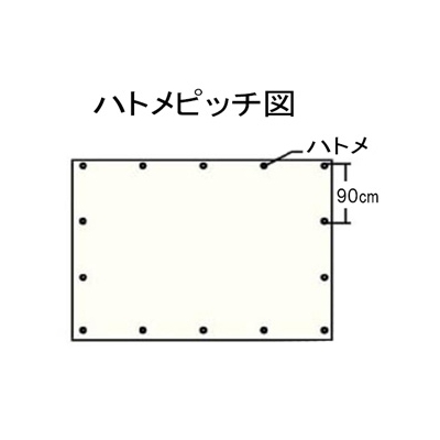 萩原工業 ターピーODグリーンシート #3000 防水タイプ 幅1.71×長さ1.71m 厚み0.25mm ハトメ付  TPOD1818 画像2