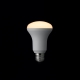 YAZAWA(ヤザワ) R63レフ形LED電球 電球色 E26 非調光タイプ LDR5LH