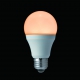 YAZAWA(ヤザワ) 【在庫限り】蓄光LED電球40W形相当 電球色 LDA5LGF 画像2