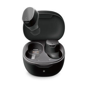 PGA BluetoothR 5.0搭載 トゥルーワイヤレスステレオイヤホン (ポケットサイズ) ブラック×グレー PG-BTE14TW1BK 画像3