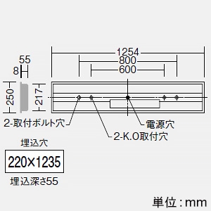 DAIKO 非常用LED長形ベースライト 40形 埋込形 幅220mm 6900lmクラス FHF32形高出力型×2灯相当 非調光 昼白色 LZE-93064XW+LZA-92824W 画像2