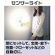 RITEX(ライテックス) 懐中電灯付LEDセンサースリム ASL030 画像3
