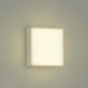 DAIKO LED小型シーリングライト 《thin》 白熱灯60W相当 非調光タイプ 天井付・壁付兼用 電球色タイプ DCL-38744Y 画像2