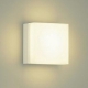 DAIKO LED小型シーリングライト 白熱灯60W相当 非調光タイプ 天井付・壁付兼用 電球色タイプ 四角型 DBK-39359Y 画像2