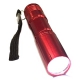 日本協能電子 ポケットLEDトーチ LED×1灯 単3形水電池・アルカリ電池(テスト用)付 レッド NWP-NAL-R 画像1
